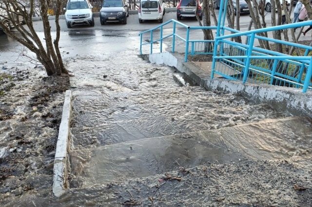    Фото: АиФ на Мурмане