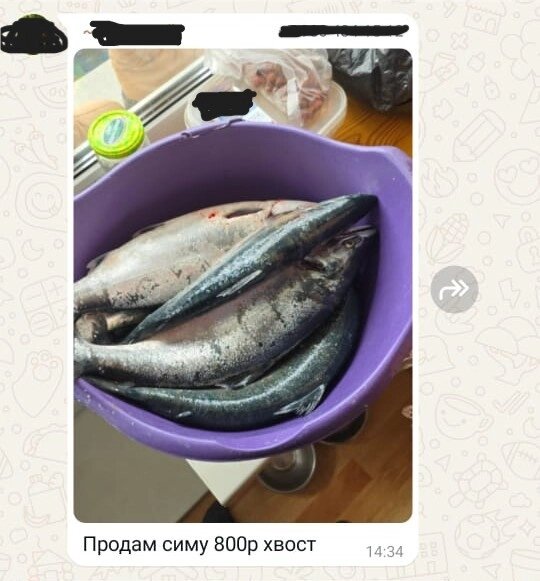    Объявление о продаже симы Фото: Скриншот/ АиФ