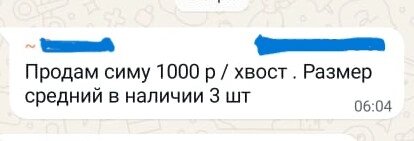    Объявление о продаже симы Фото: Скриншот/ АиФ