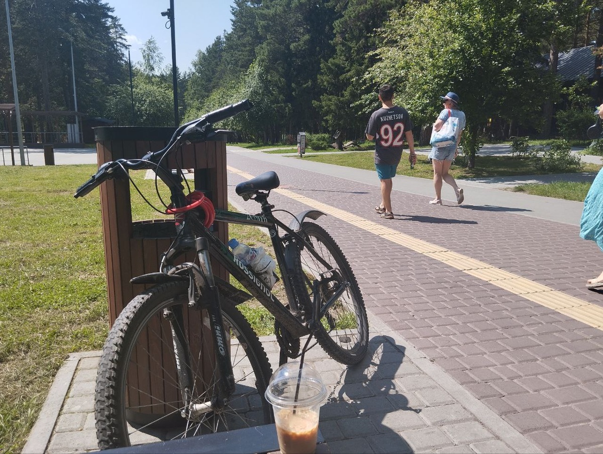 Велодорожки есть в отдельных парках.  Фото: Фото: ФедералПресс / Екатерина Ломакина