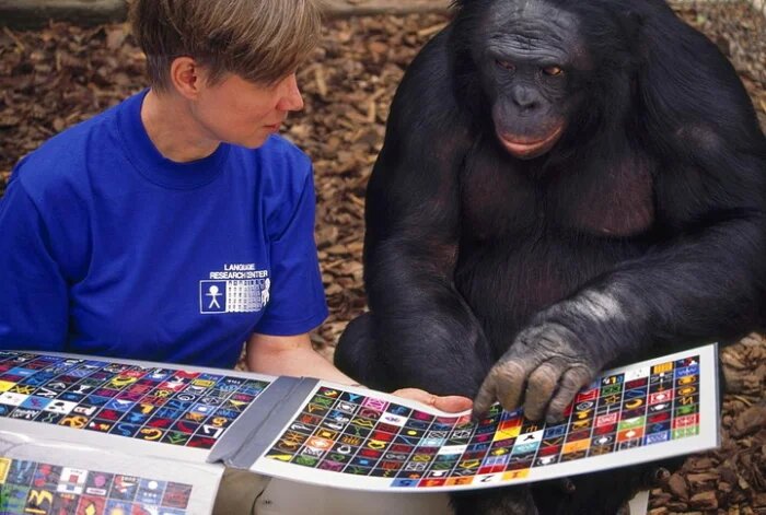 Когда пытаешься объяснить в иностранном ресторане, какое блюдо ты хочешь заказать.