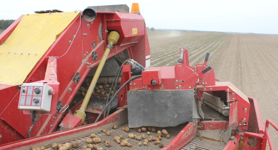    Уборка картофеля ОАО «Совхоз им. Кирова» / Медиасток.рф