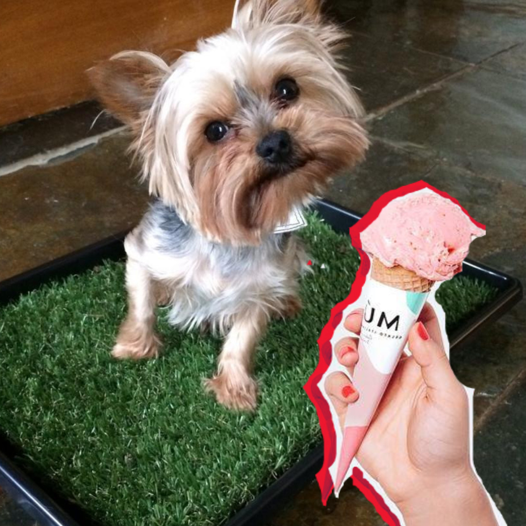 коллаж из фото из интернета