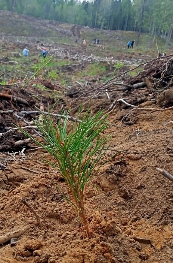 Фото: Анна Афанасьева📷

