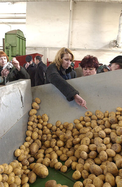 Фото: Сергей Иванов, https://www.mk.ru/