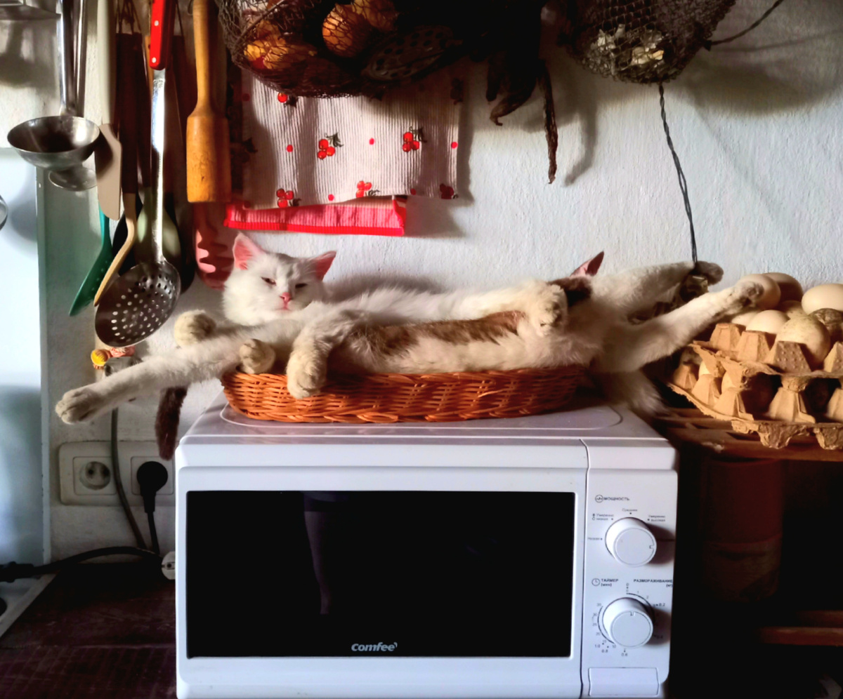 Фото автора 