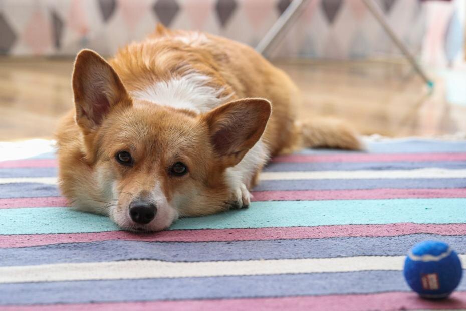    Алексей Белкин/NEWS.ru