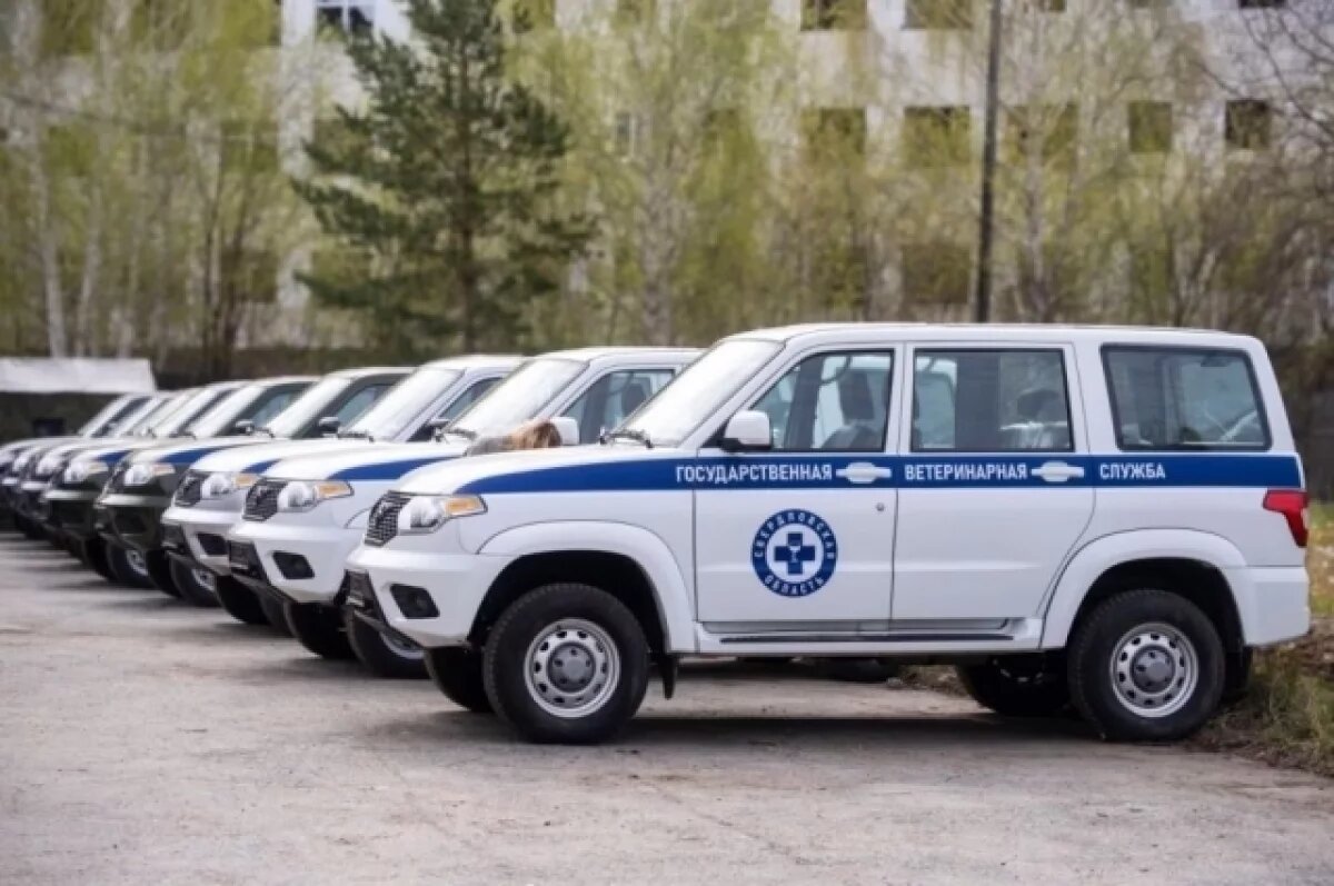    Девять свердловских ветеринарных станций получили новые внедорожники