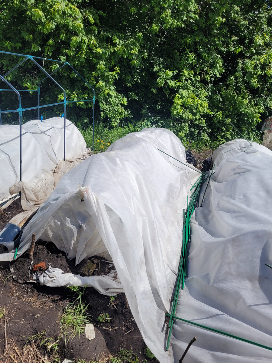 Часть парников