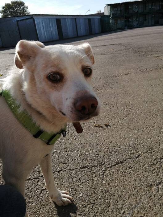 Памагитииииииии.....................