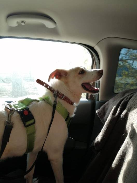 Что происходит??