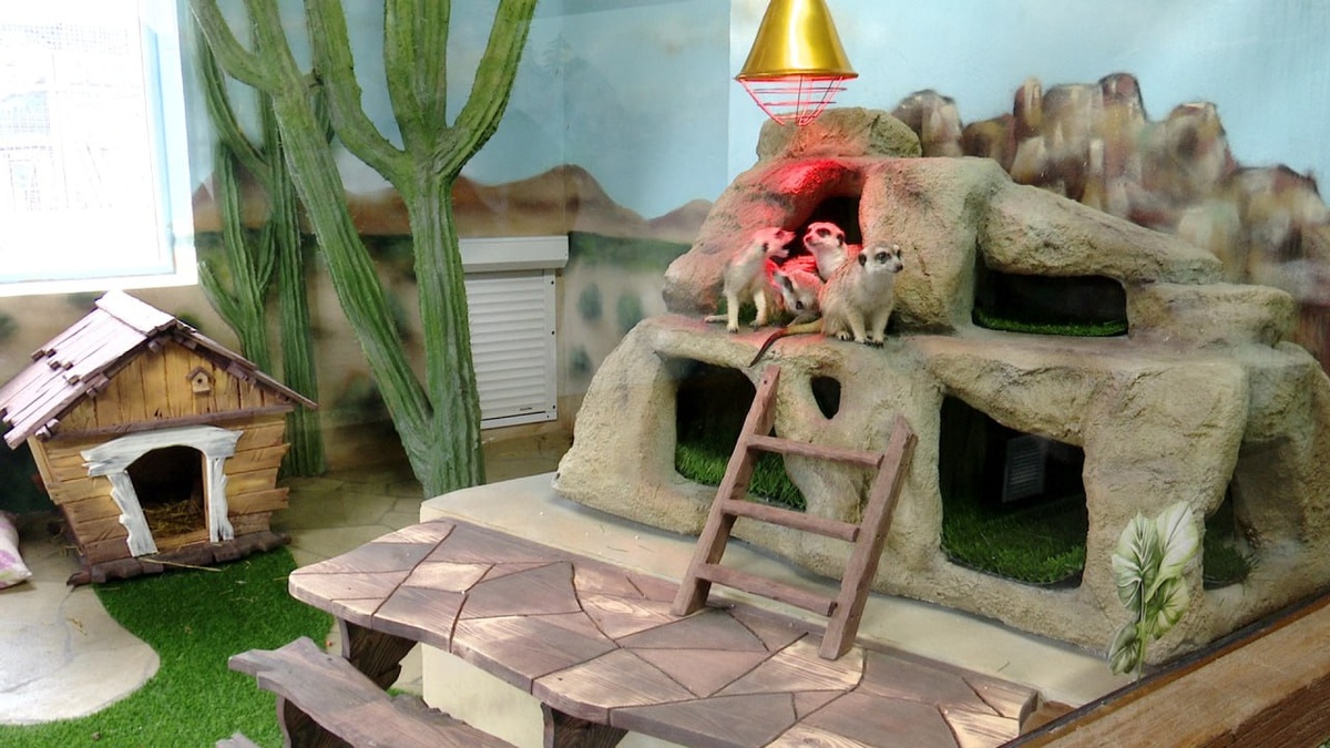 Новые вольеры выполнены по индивидуальным эскизам, чтобы соответствовать естественным условиям проживания животных