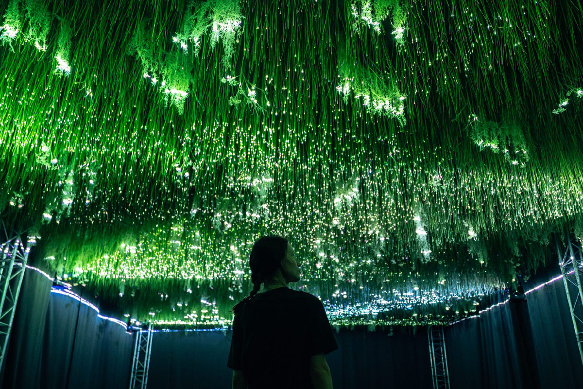 Примеры работ прошлых лет | Источник: nurfestival.com