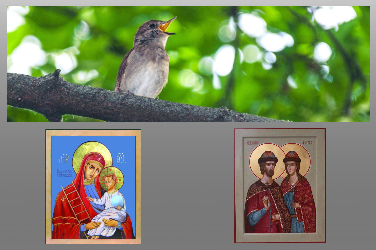 Икона Богородицы Путивльская, Икона блгв. князей Бориса и Глеба/azbuka.ru, Соловей/pixabay.com