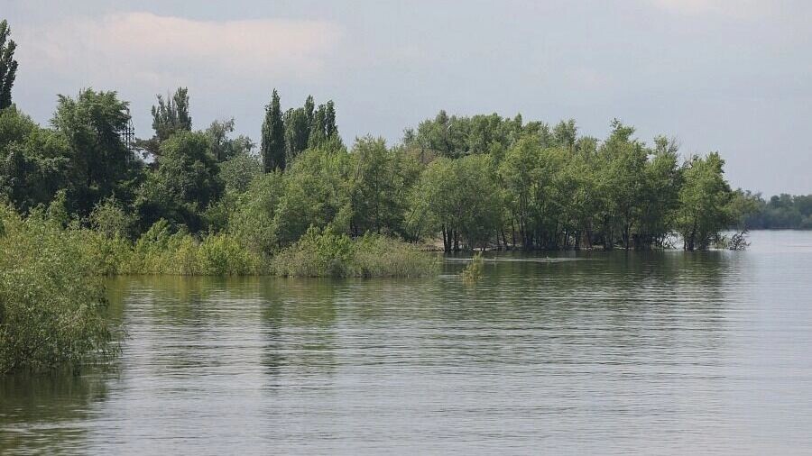     Источник: Администрация Волгоградской области