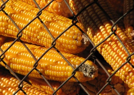    Financial Times: Евросоюз существенно поднимет пошлины на продукцию с Украины