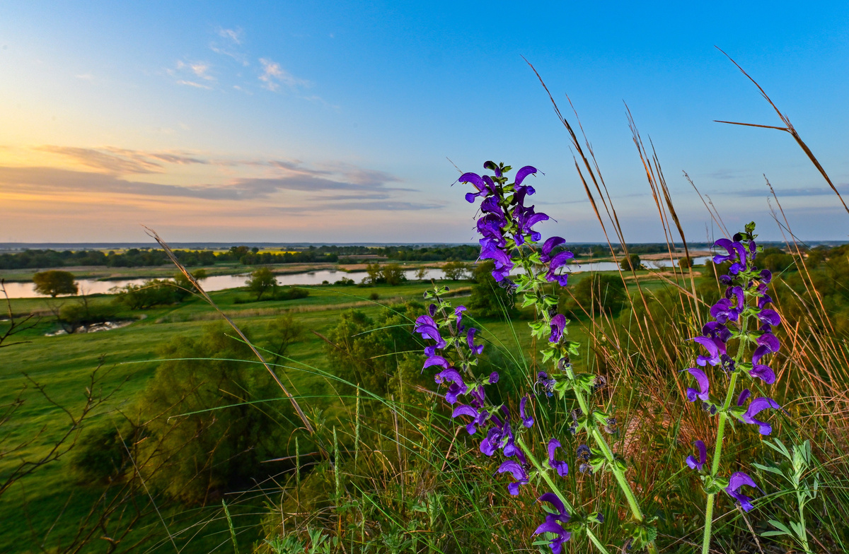 фото: Patrick Pleul/dpa/Global Look Press