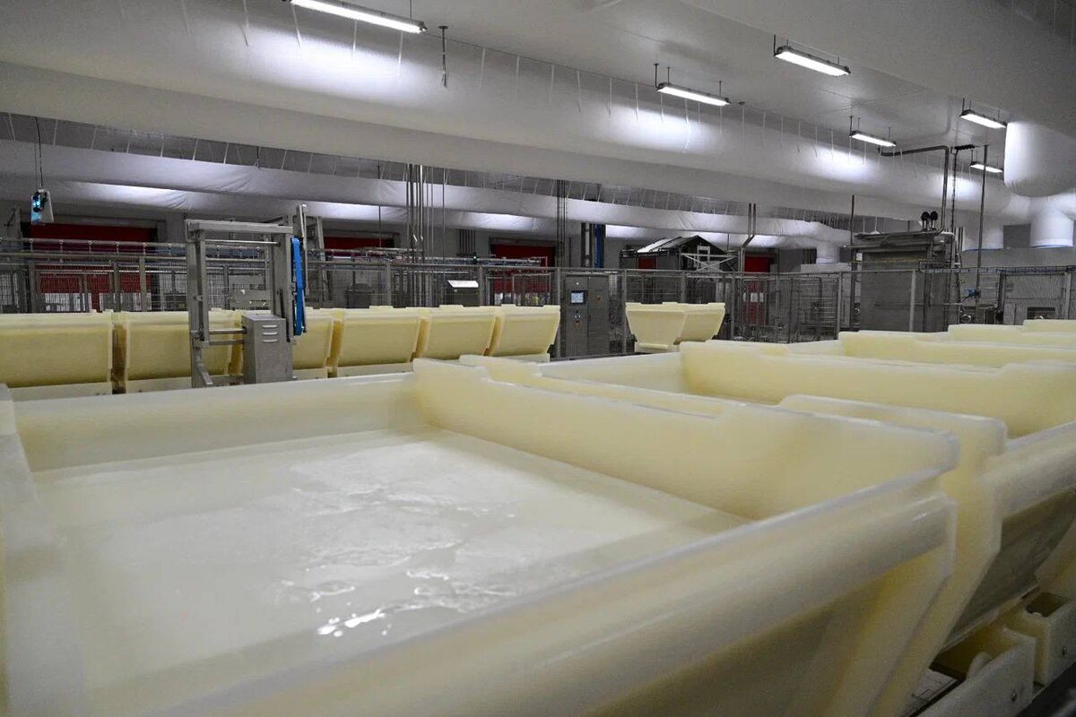    Уникальный мягкий сыр башкирского производства скоро появится на прилавках магазинов