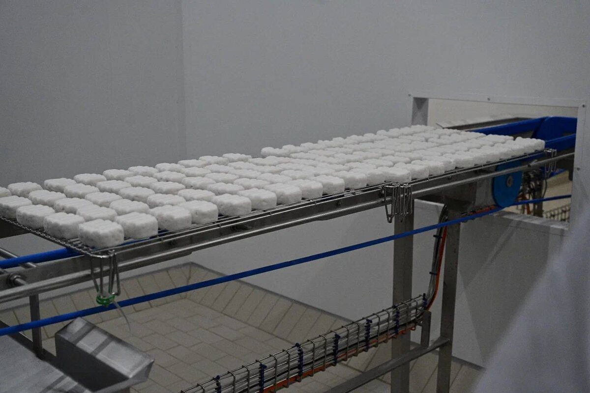    Уникальный мягкий сыр башкирского производства скоро появится на прилавках магазинов