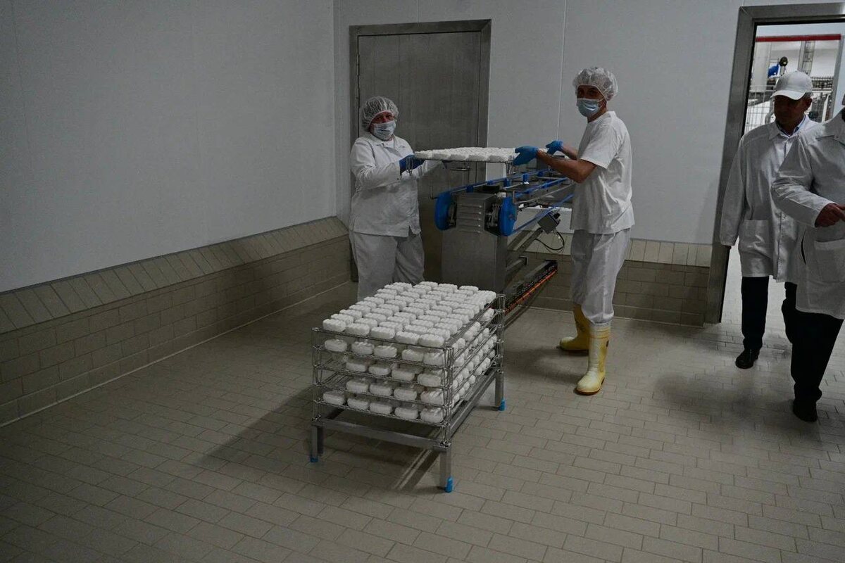    Уникальный мягкий сыр башкирского производства скоро появится на прилавках магазинов