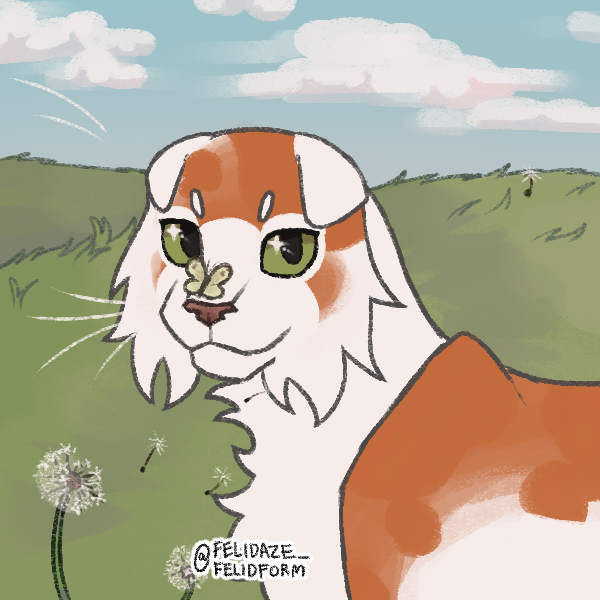 пятна на морде неправильные((