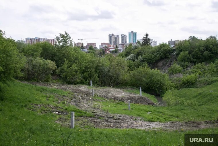 Тело обнаружили в деревне в овраге (архивное фото)
Фото: Дмитрий Ткачук © URA.RU