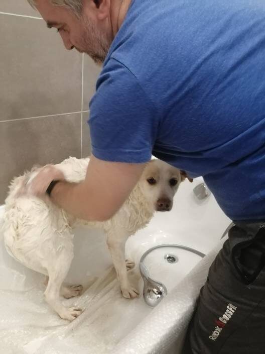 Не привычно, но как приятно! Может и задержусь у вас)