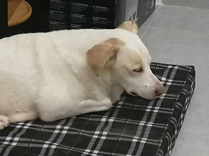 Наволновалась)