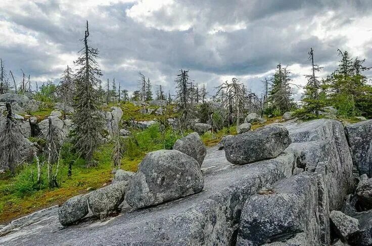 На плато Воотовары (фото из открытых источников).