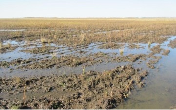 фото из сети Интернет