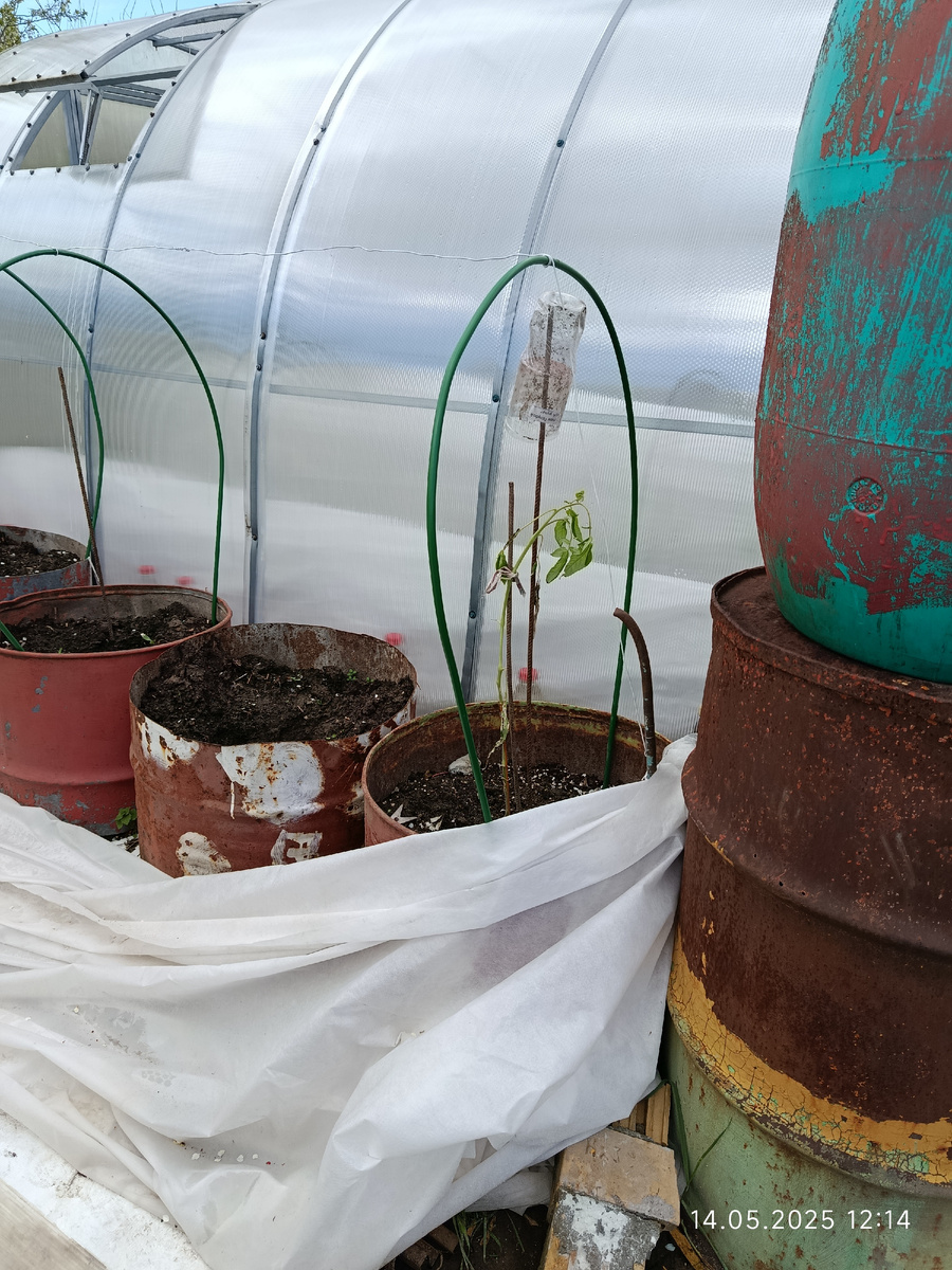 Это всё тот жираф 😂