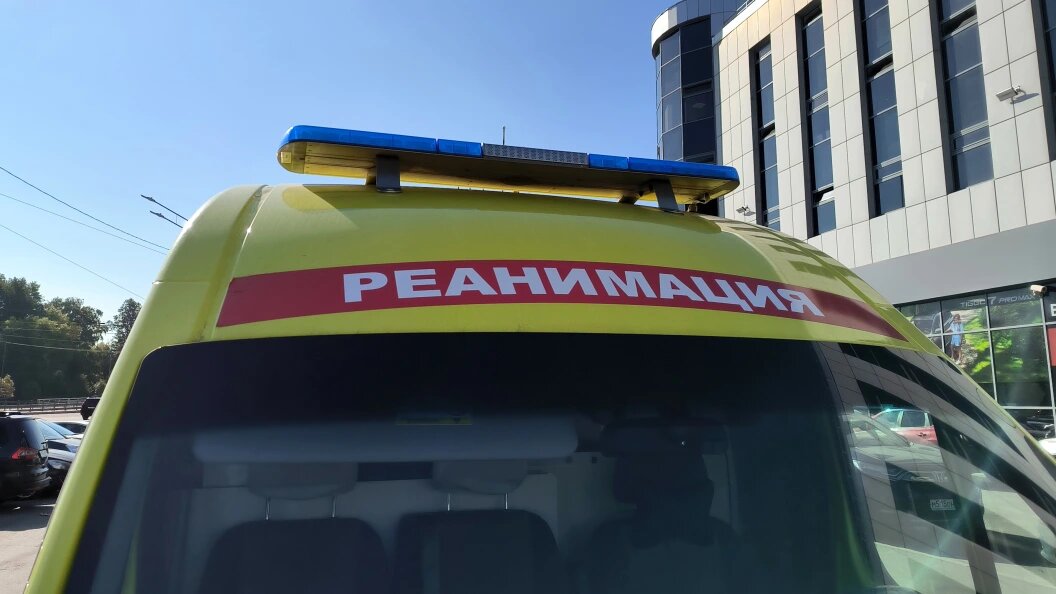    Фото: Maksim Konstantinov/Globallookpress