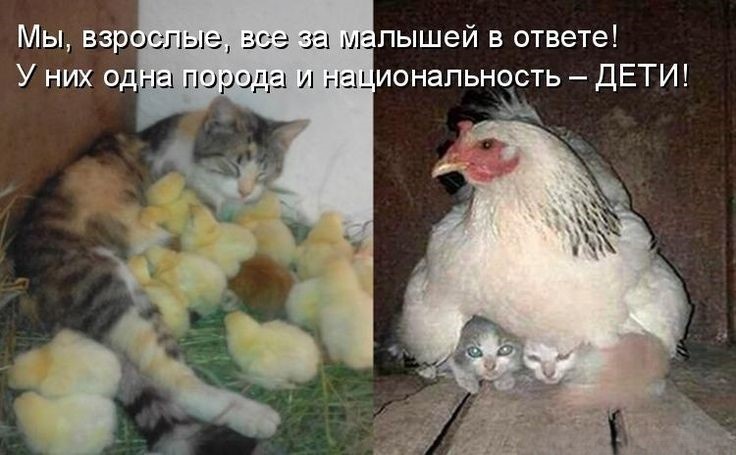 -5