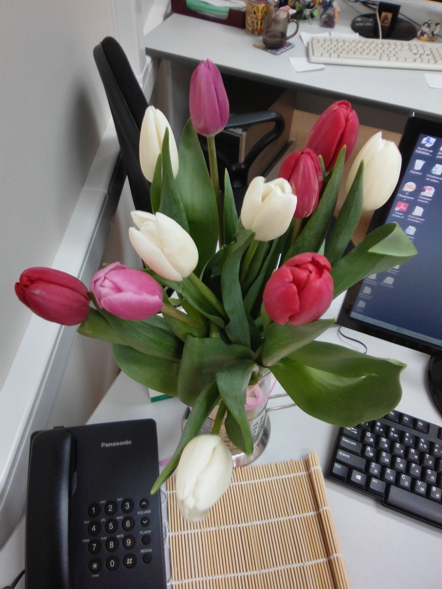 Фото из личного архива Daria Flame Princess. Цветы на мой день рождения от коллег.