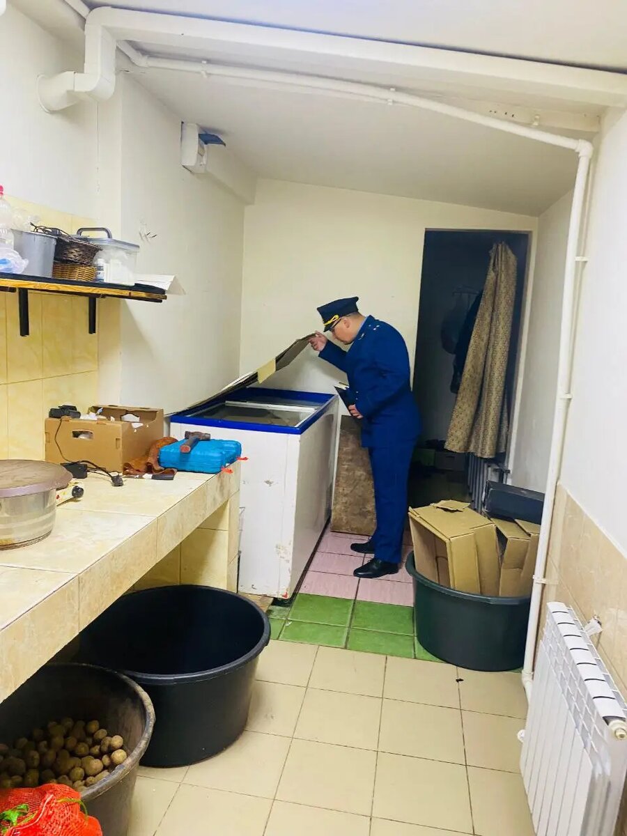    Фото: пресс-служба прокуратуры Ленобласти