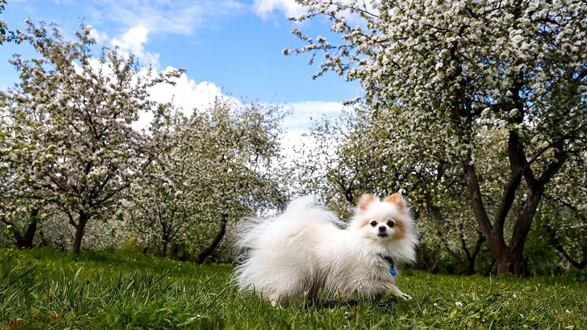    Фото: Ярослав Чингаев / АГН Москва