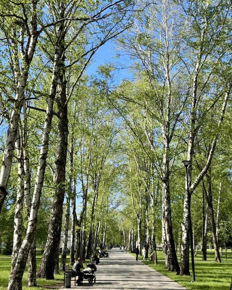 Фото: Тимур Шарипкулов 