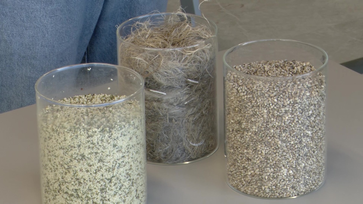    Уфимские ученые получили грант