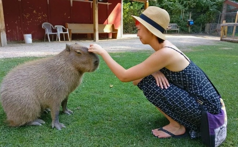 Вот такое общение. И питомец и хозяйка получают удовольствие.