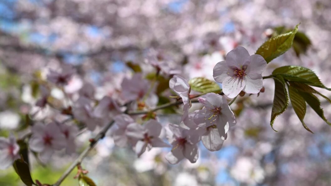    © Komsomolskaya Pravda/Globallookpress