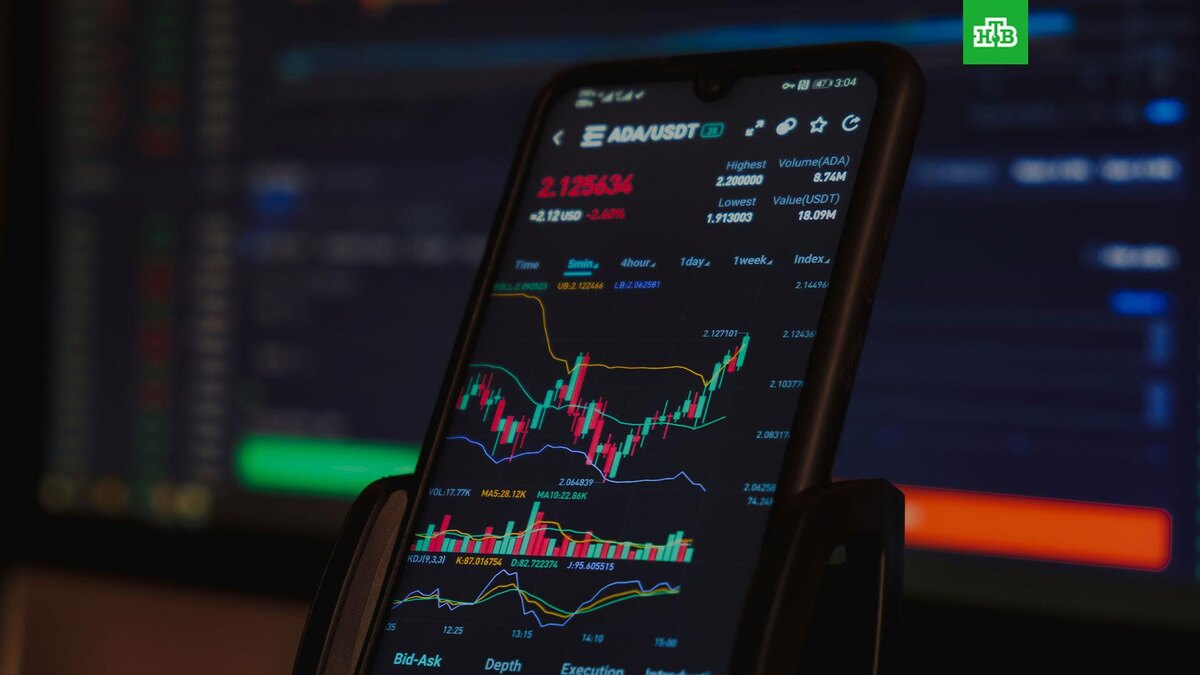    Фото: Sajad Nori / unsplash.com