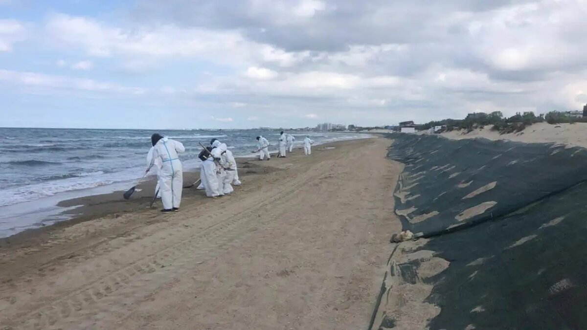    Пляж Анапы.