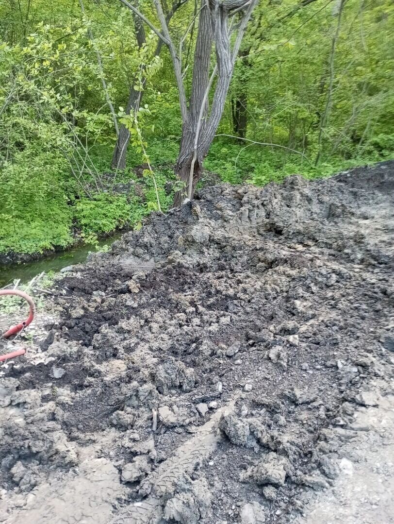     Автор: Елена Свичевская Источник: страница Вячеслава Гладкова в ВК