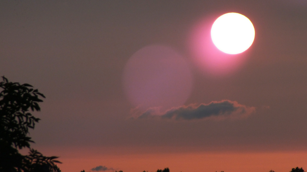    Фото: Victor Lisitsyn/Global Look Press