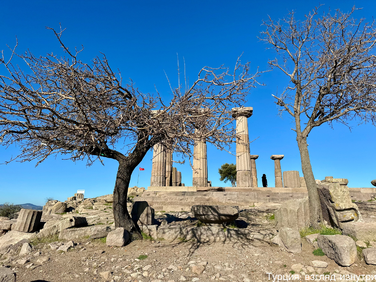 Колонны храма Афины