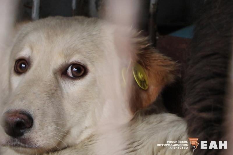    ЕАН. Архивное фото