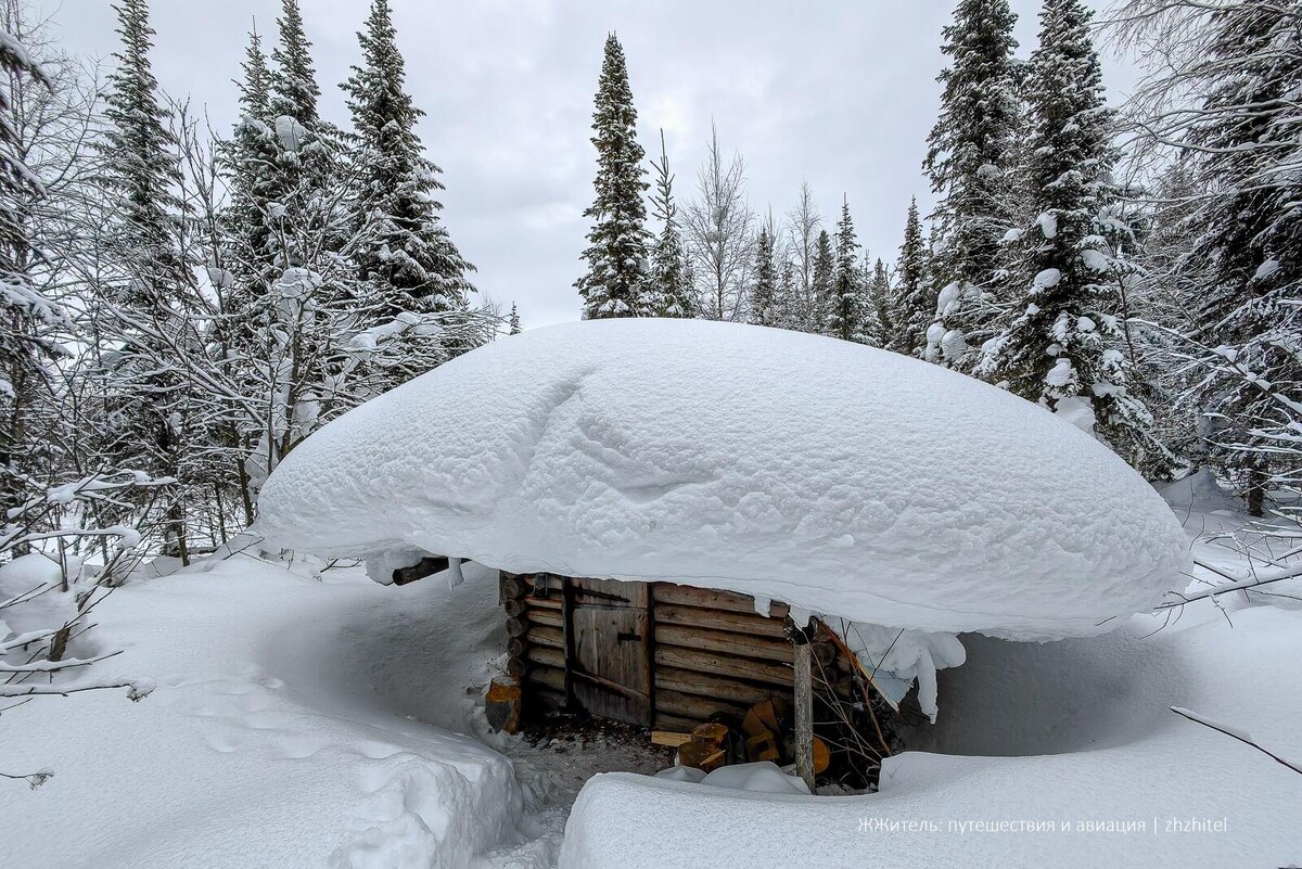 Фото из Яндекса