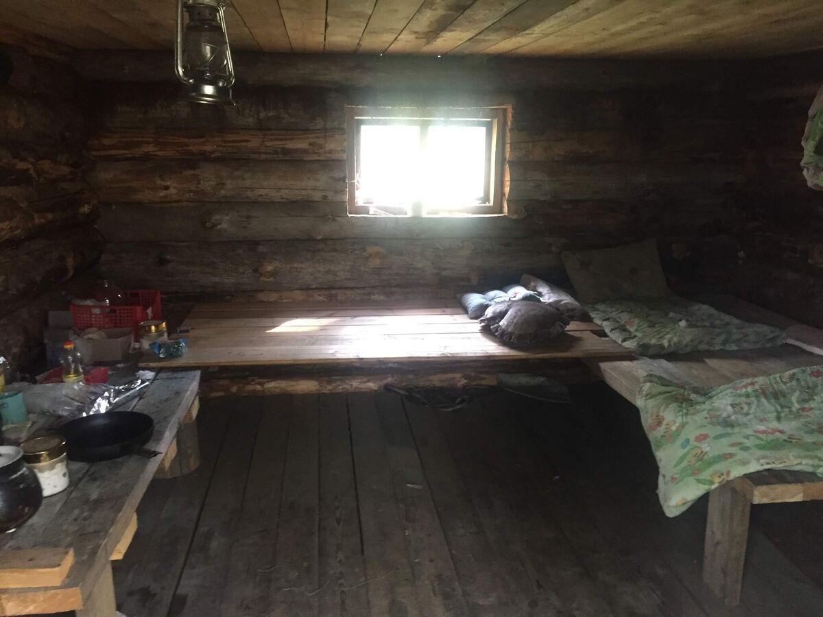 Фото из Яндекса 