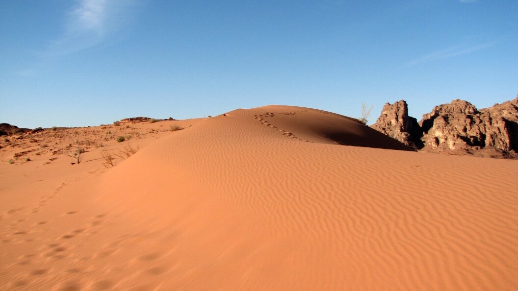    Фото: Yulia Kapishnikova/Russian Look/Globallookpress