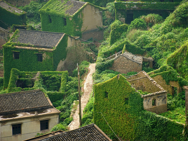 Выглядит даже немного сказочно